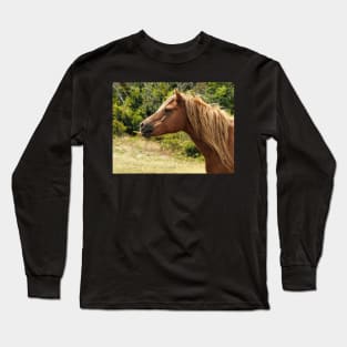 Assateague Pony Blowing Raspberries Long Sleeve T-Shirt